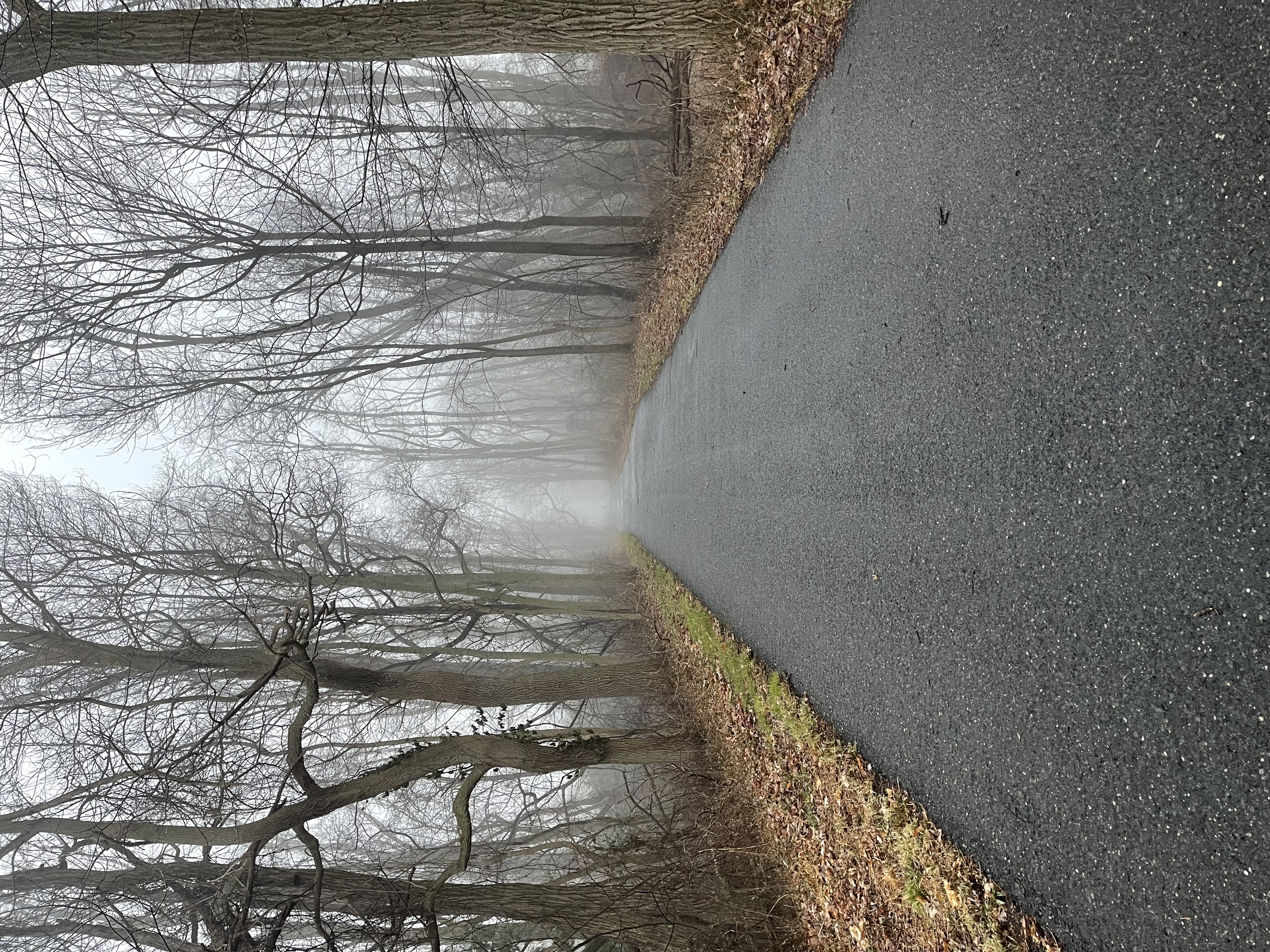 Working With AI While Building a Drupal Website